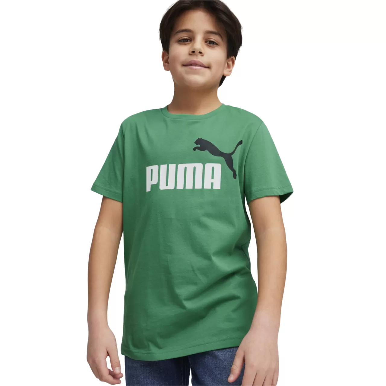 Puma ESS 2 short sleeve t-shirt with large logo print 586985-76 green